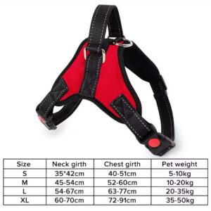 Pet Harness